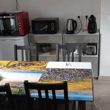 De Benedicte Ancienne Douane 公寓 *