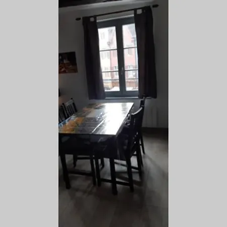 De Benedicte Ancienne Douane 公寓 科尔马