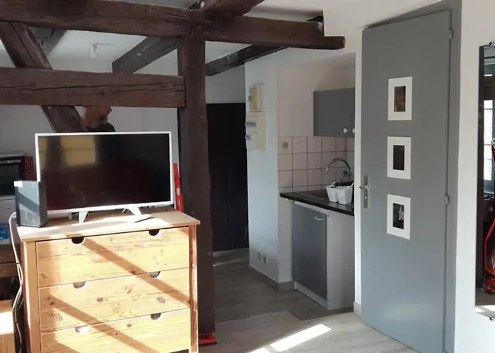 Apartament De Benedicte Ancienne Douane Colmar